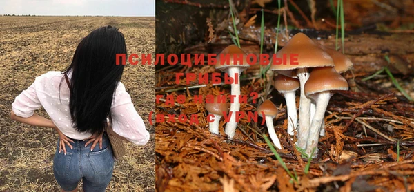 MESCALINE Семикаракорск