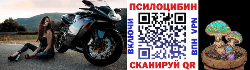 Псилоцибиновые грибы Psilocybe маркетплейс официальный сайт Каменка